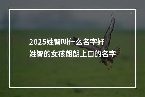 2025姓智叫什么名字好 姓智的女孩朗朗上口的名字