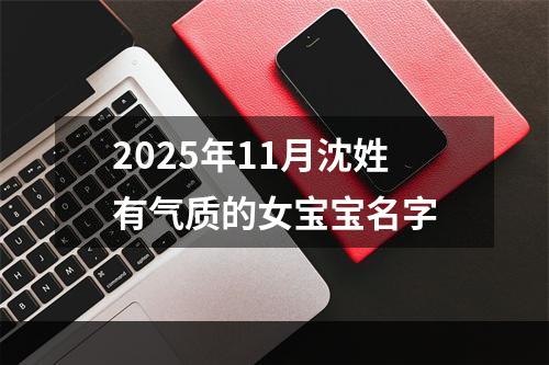 2025年11月沈姓有气质的女宝宝名字