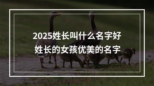 2025姓长叫什么名字好 姓长的女孩优美的名字