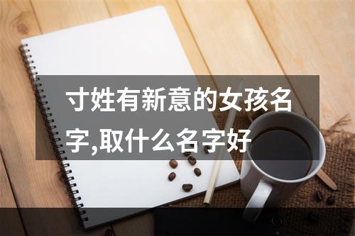寸姓有新意的女孩名字,取什么名字好