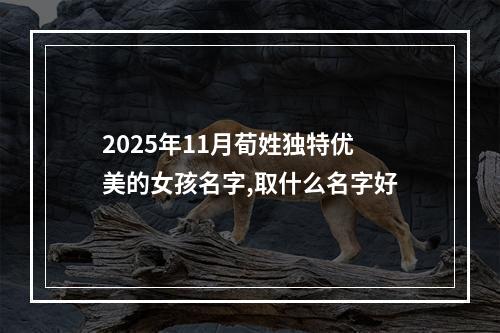 2025年11月荀姓独特优美的女孩名字,取什么名字好