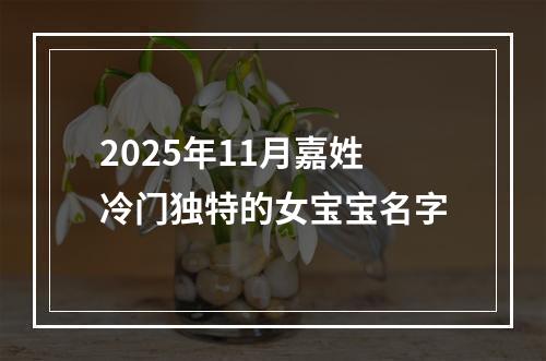 2025年11月嘉姓冷门独特的女宝宝名字