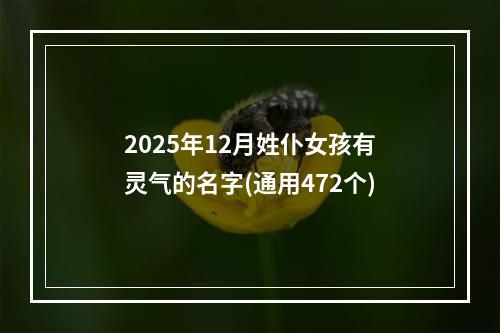 2025年12月姓仆女孩有灵气的名字(通用472个)