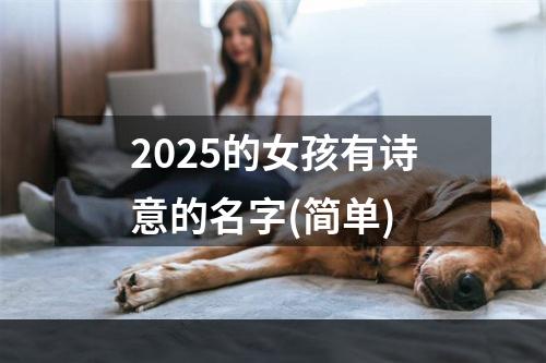 2025的女孩有诗意的名字(简单)
