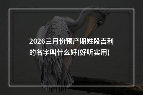 2026三月份预产期姓段吉利的名字叫什么好(好听实用)