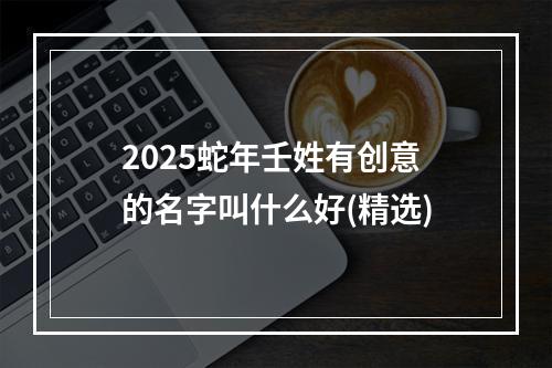 2025蛇年壬姓有创意的名字叫什么好(精选)