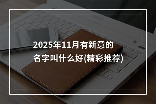 2025年11月有新意的名字叫什么好(精彩推荐)