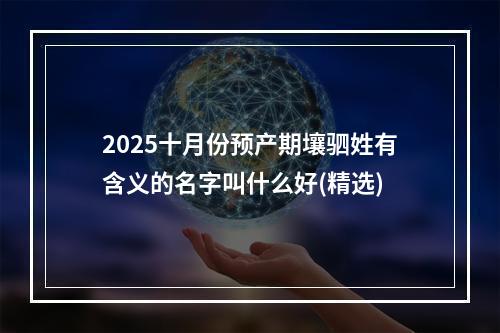 2025十月份预产期壤驷姓有含义的名字叫什么好(精选)