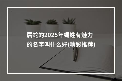 属蛇的2025年绳姓有魅力的名字叫什么好(精彩推荐)