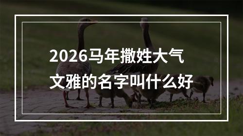 2026马年撒姓大气文雅的名字叫什么好