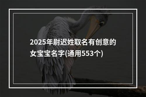 2025年尉迟姓取名有创意的女宝宝名字(通用553个)