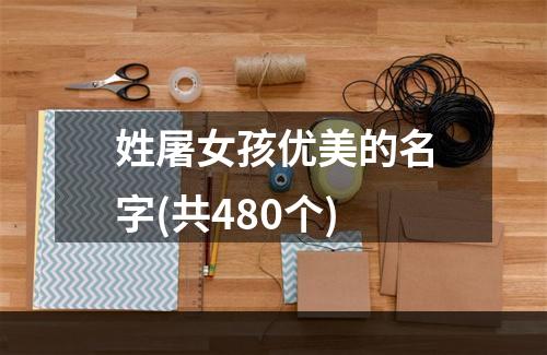 姓屠女孩优美的名字(共480个)
