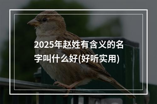 2025年赵姓有含义的名字叫什么好(好听实用)