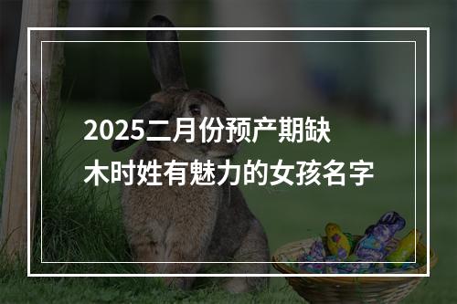 2025二月份预产期缺木时姓有魅力的女孩名字