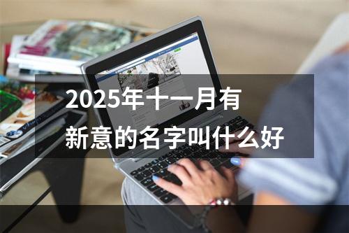2025年十一月有新意的名字叫什么好
