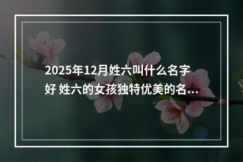 2025年12月姓六叫什么名字好 姓六的女孩独特优美的名字