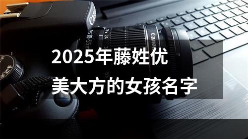 2025年藤姓优美大方的女孩名字