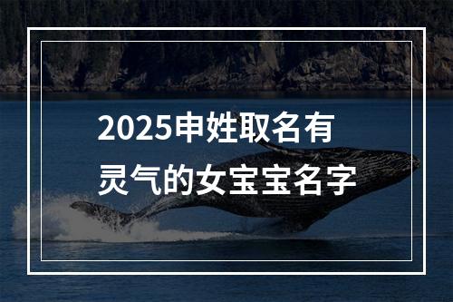 2025申姓取名有灵气的女宝宝名字