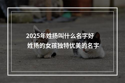 2025年姓扬叫什么名字好 姓扬的女孩独特优美的名字