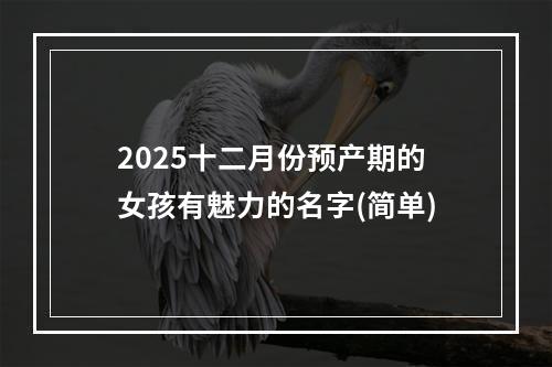 2025十二月份预产期的女孩有魅力的名字(简单)