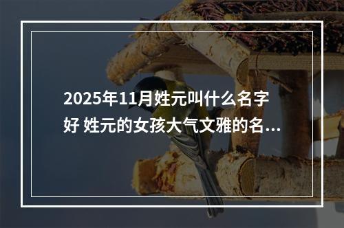 2025年11月姓元叫什么名字好 姓元的女孩大气文雅的名字