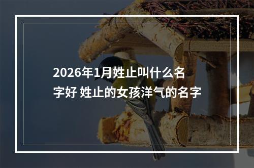 2026年1月姓止叫什么名字好 姓止的女孩洋气的名字
