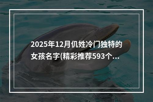 2025年12月仉姓冷门独特的女孩名字(精彩推荐593个)