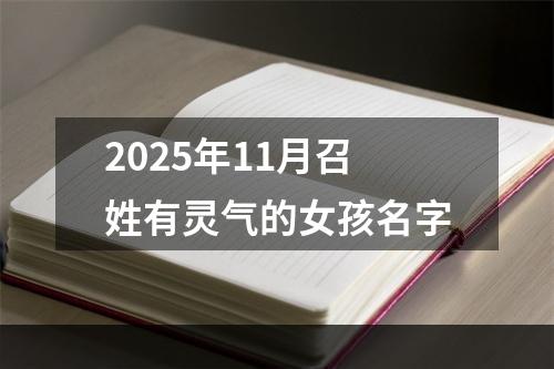 2025年11月召姓有灵气的女孩名字