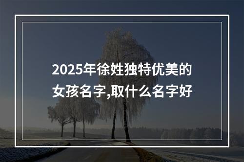 2025年徐姓独特优美的女孩名字,取什么名字好