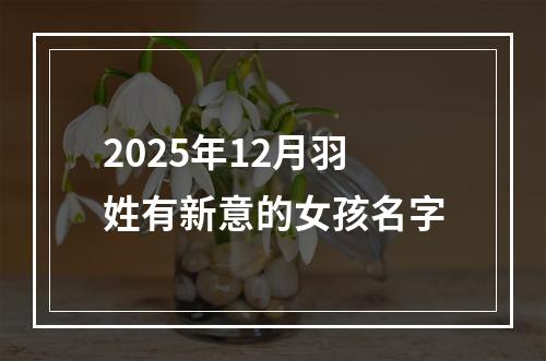 2025年12月羽姓有新意的女孩名字