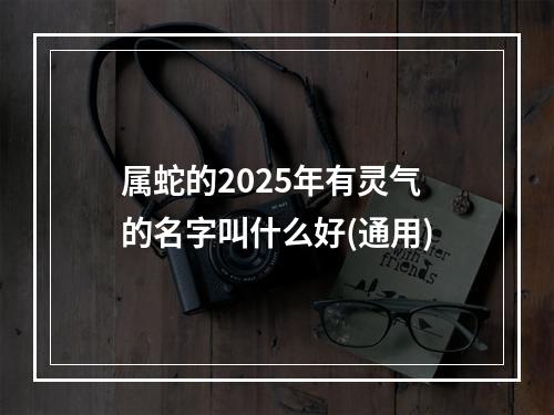 属蛇的2025年有灵气的名字叫什么好(通用)