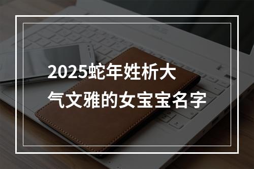 2025蛇年姓析大气文雅的女宝宝名字