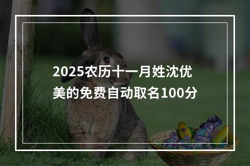 2025农历十一月姓沈优美的免费自动取名100分