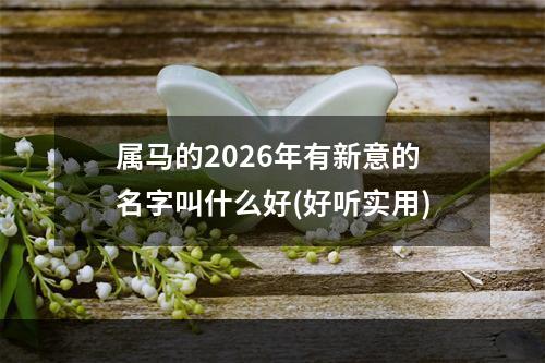 属马的2026年有新意的名字叫什么好(好听实用)
