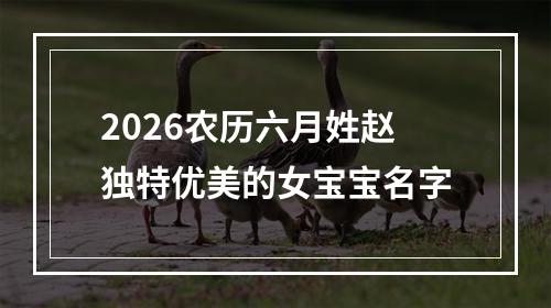2026农历六月姓赵独特优美的女宝宝名字