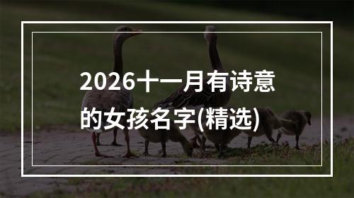 2026十一月有诗意的女孩名字(精选)