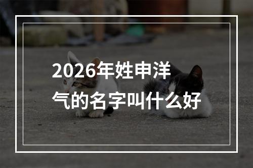 2026年姓申洋气的名字叫什么好