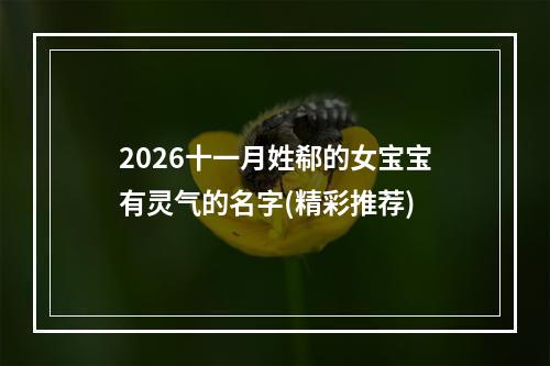 2026十一月姓郗的女宝宝有灵气的名字(精彩推荐)