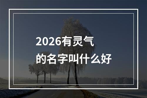 2026有灵气的名字叫什么好