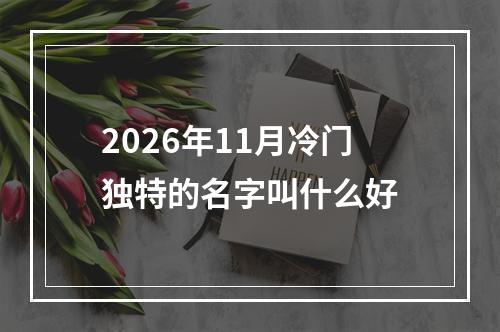 2026年11月冷门独特的名字叫什么好