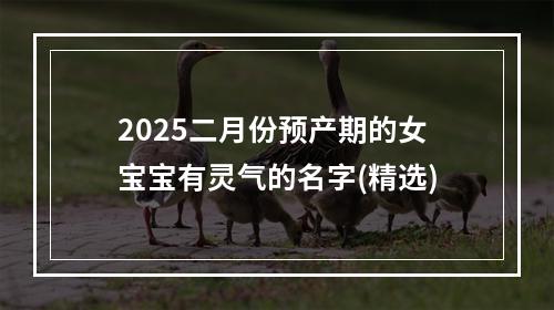 2025二月份预产期的女宝宝有灵气的名字(精选)
