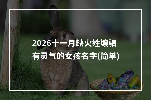 2026十一月缺火姓壤驷有灵气的女孩名字(简单)