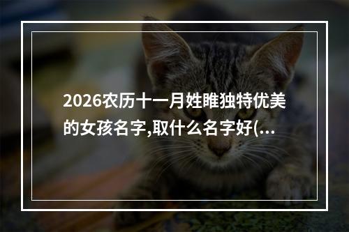 2026农历十一月姓睢独特优美的女孩名字,取什么名字好(通用)