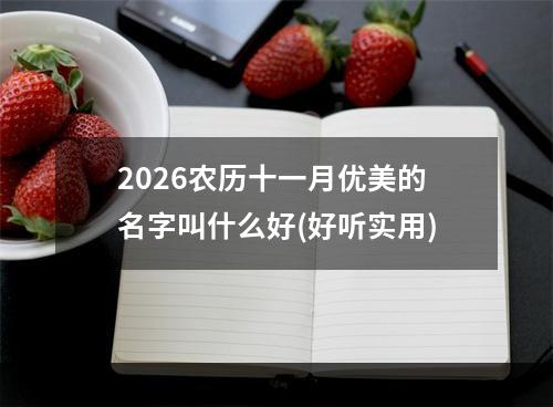 2026农历十一月优美的名字叫什么好(好听实用)