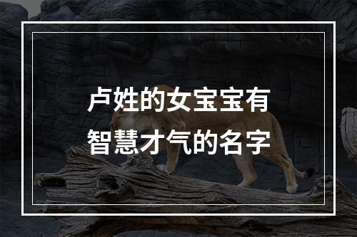 卢姓的女宝宝有智慧才气的名字