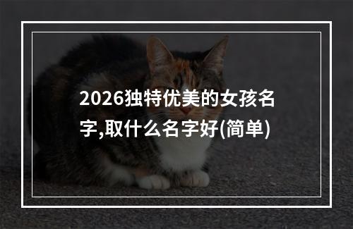 2026独特优美的女孩名字,取什么名字好(简单)