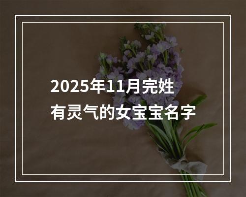 2025年11月完姓有灵气的女宝宝名字
