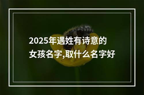 2025年遇姓有诗意的女孩名字,取什么名字好