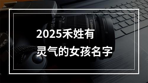 2025禾姓有灵气的女孩名字