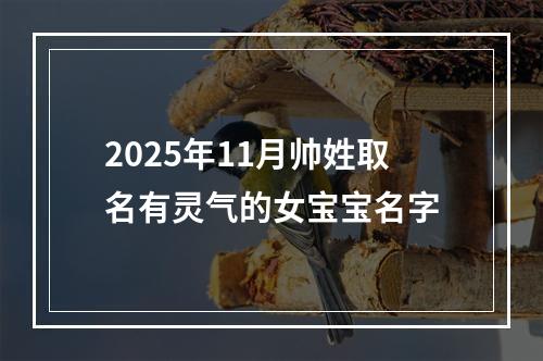 2025年11月帅姓取名有灵气的女宝宝名字